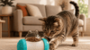 Dispensador Interactivo de Snacks para Perros y Gatos — Estimulación y Diversión